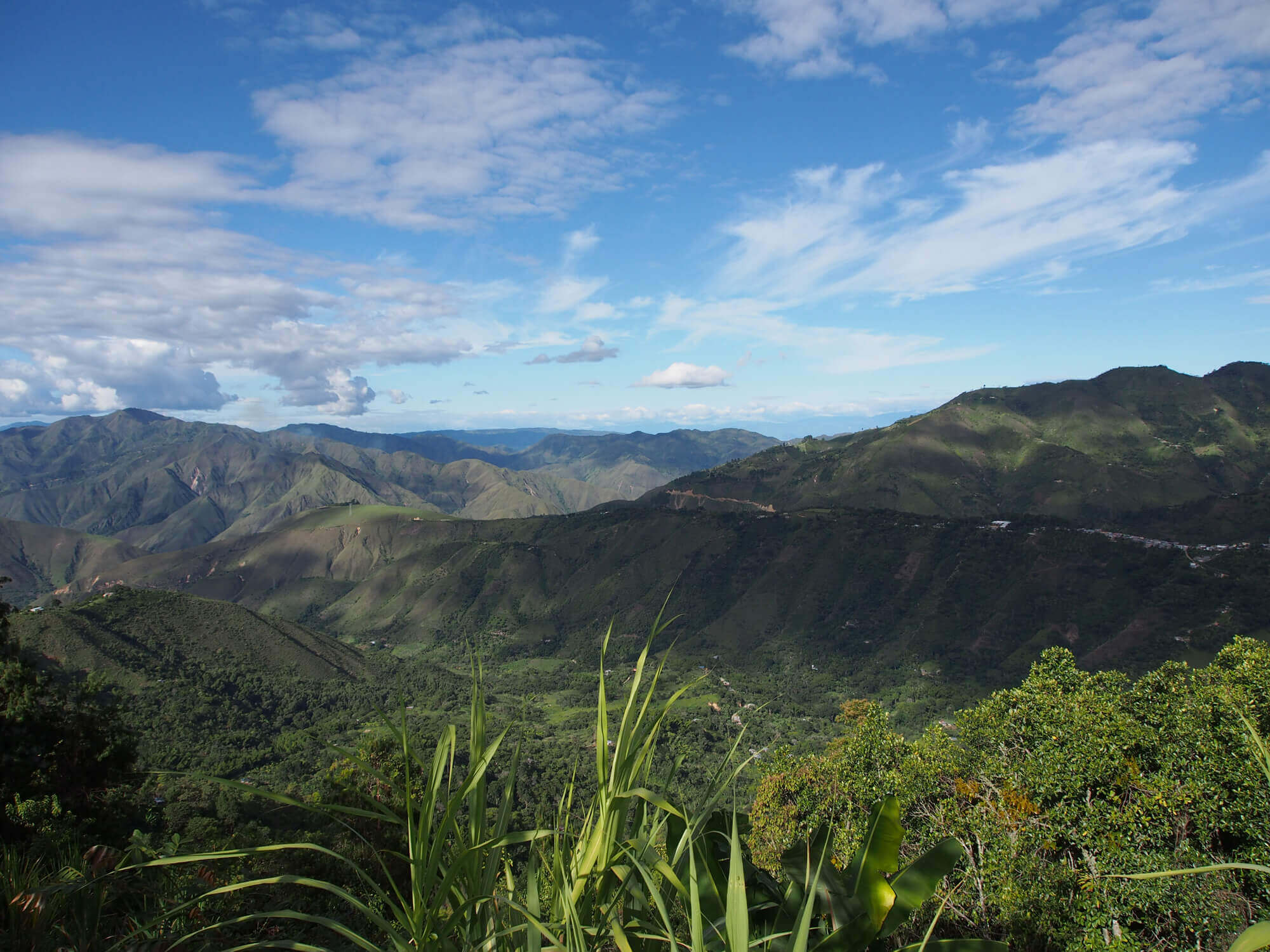 COLOMBIA PERLA DE INZA