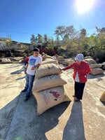 Load image into Gallery viewer, MEXICO OAXACA SAN PEDRO YOSOTATU
