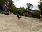 Load image into Gallery viewer, MEXICO OAXACA SAN PEDRO YOSOTATU
